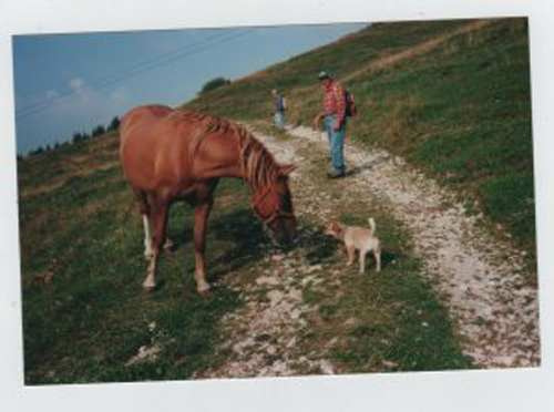 Foto di Annapaola